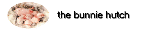 the bunnie hutch